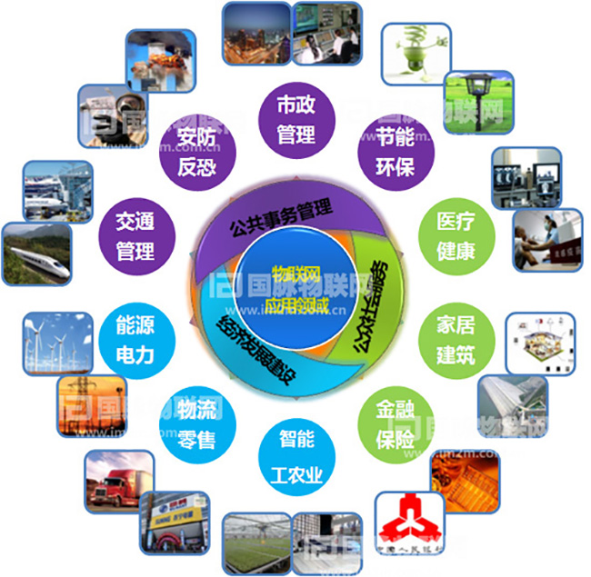 杨冰之：重视物联网在关键产业的应用