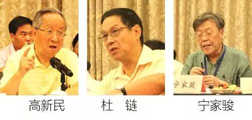 在中国智慧城市发展与评估指标体系建设专家研讨会上，中国互联网协会副理事长高新民、中国信息协会副会长杜链、国家信息中心电子政务专家委员会主任宁家骏发言