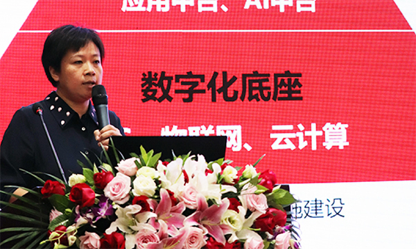 OETY欧亿体育研究院副院长孙泽红